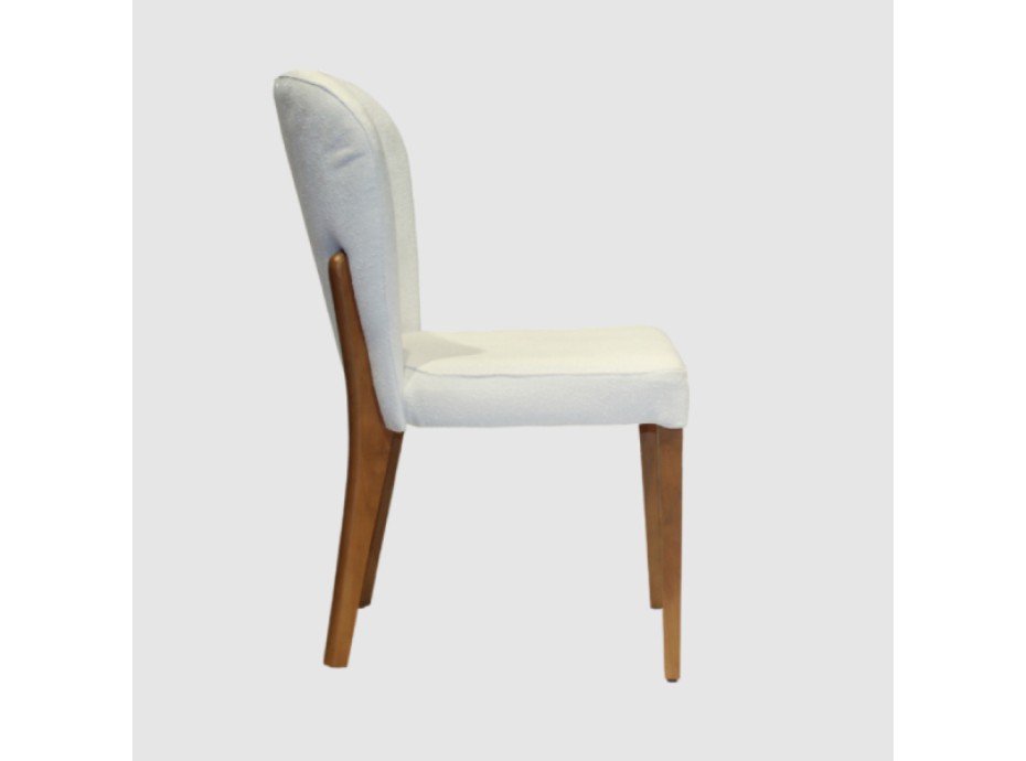 ANTHIA DINING CHAIR (FM)