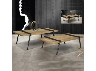 DOUBLE COFFEE TABLE SET (TS)