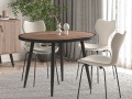 STELLA TABLE (SVD)